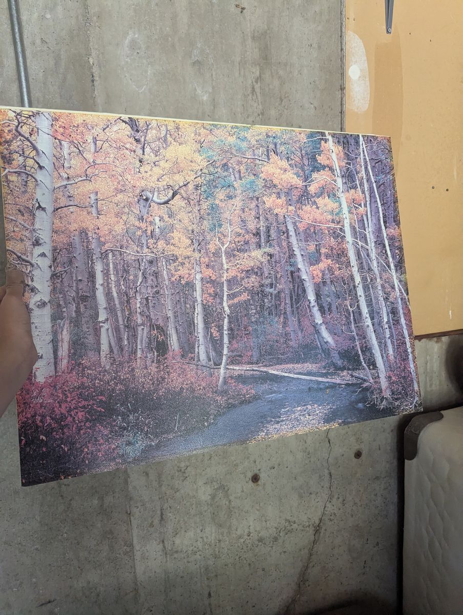 Image of trees