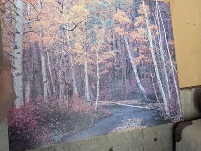 Image of trees