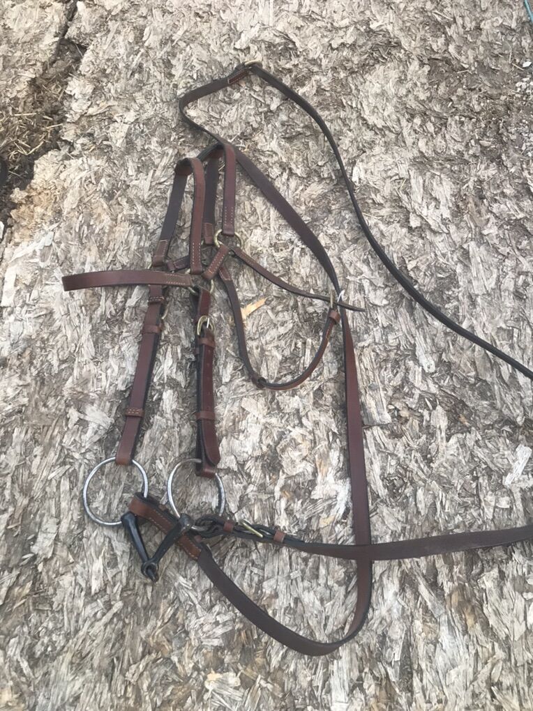 Assorted Bridles And Tack