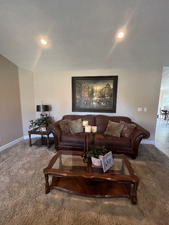 Living Room Set
