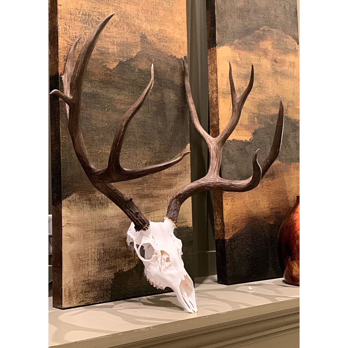 Taxidermy European Mounts Utah