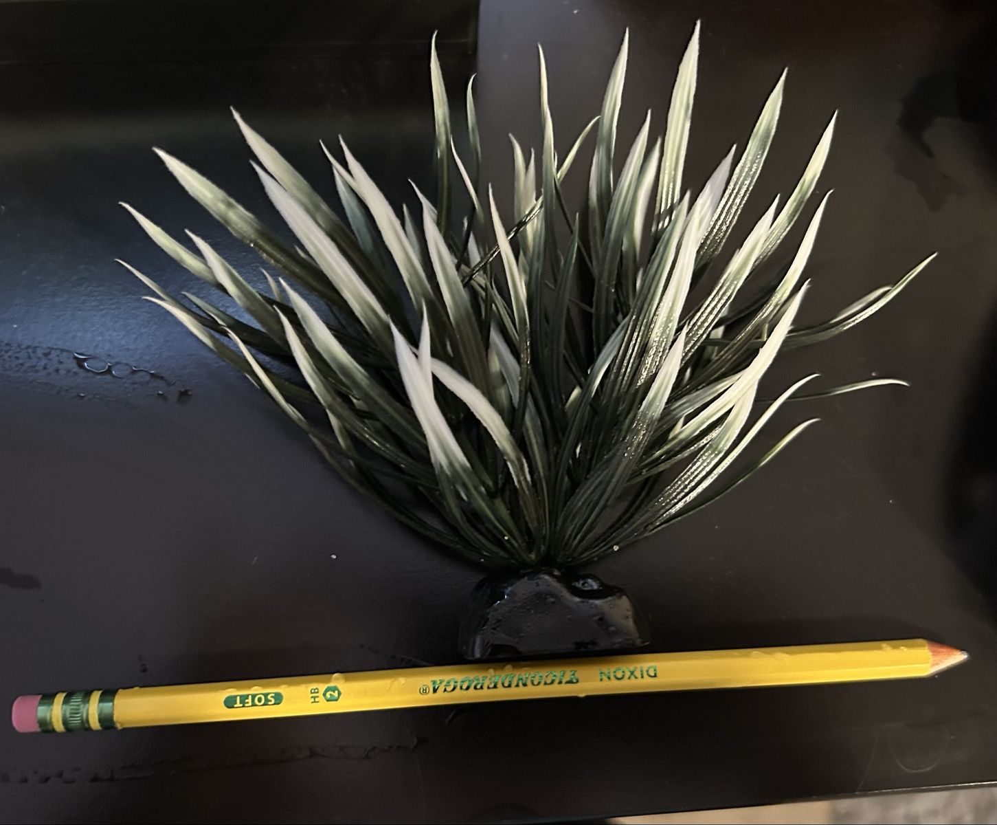 Main image 2