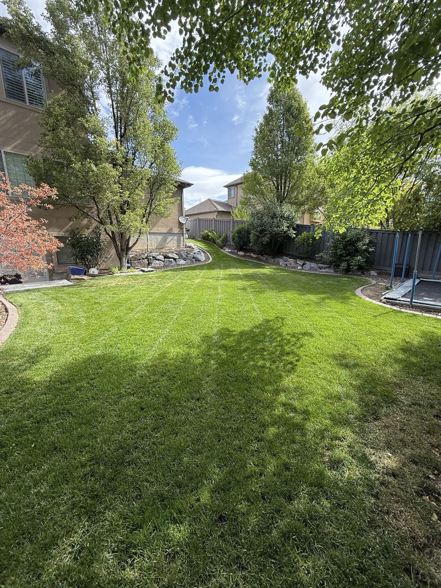 Lawn Care