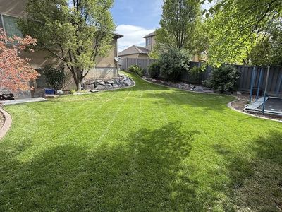 Lawn Care