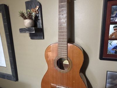 Spanish parlor guitar.