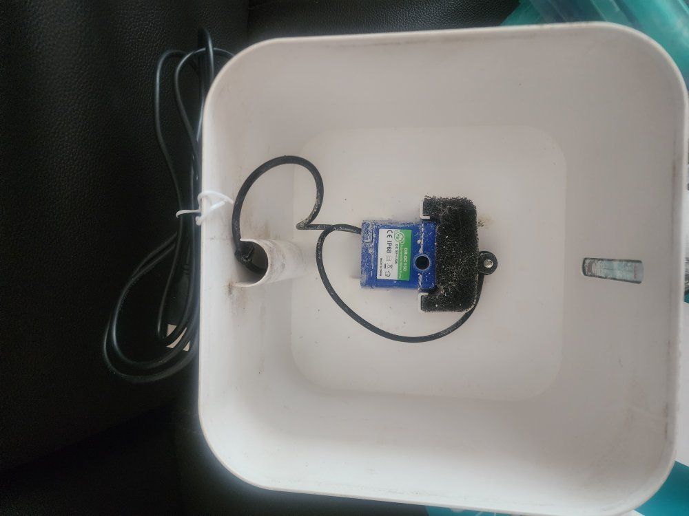 Main image 2