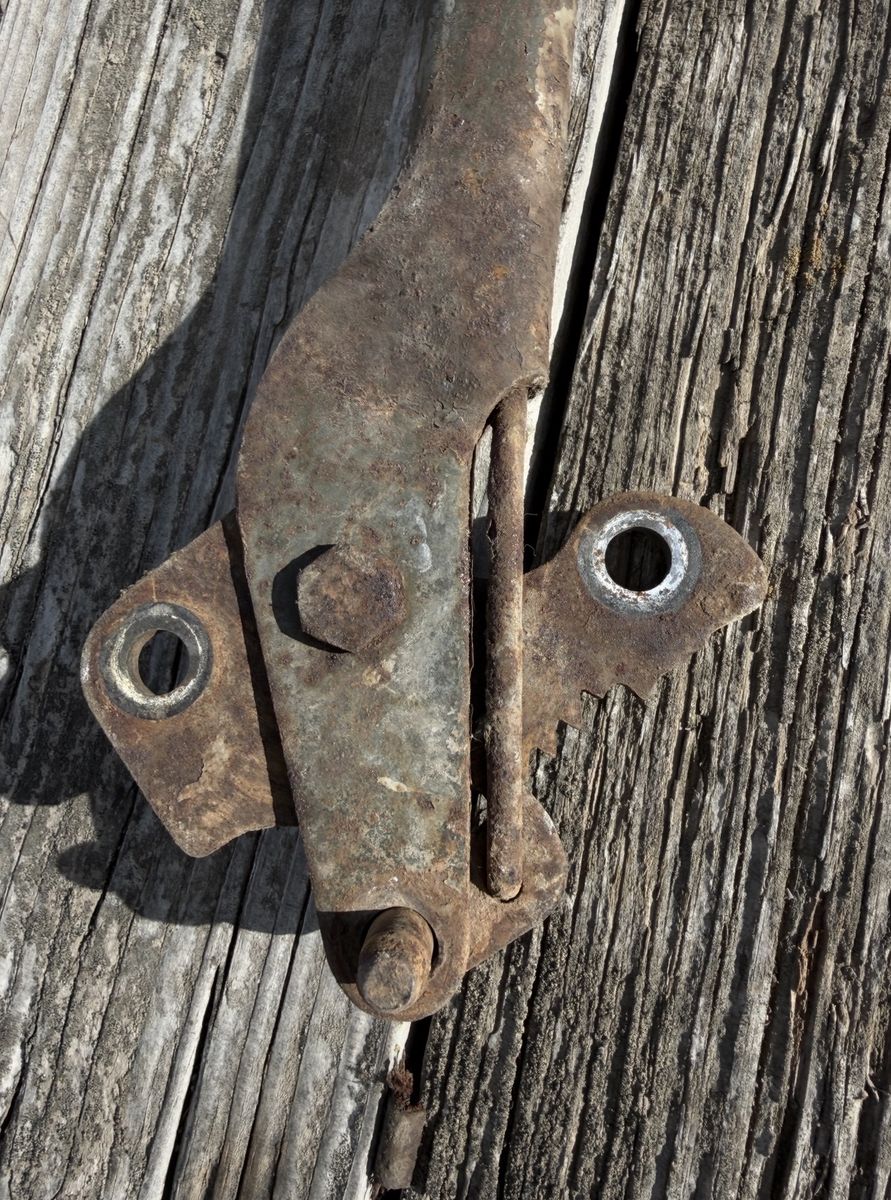 Main image 5
