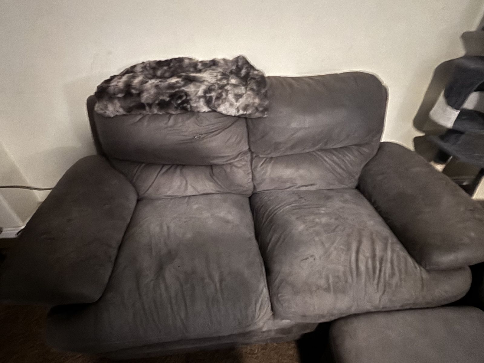 Gray Living Room Sofa and Loveseat Set with Minor Wear