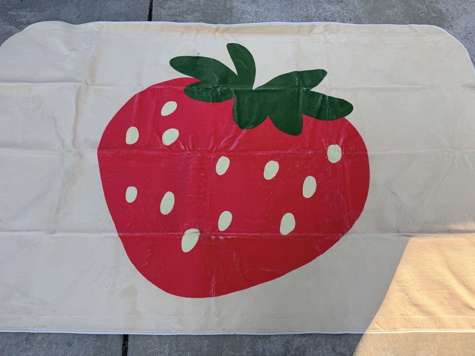 New In Package. Cute 5x8 Trendy Strawberry Area Ru