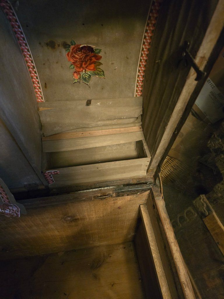 Main image 6