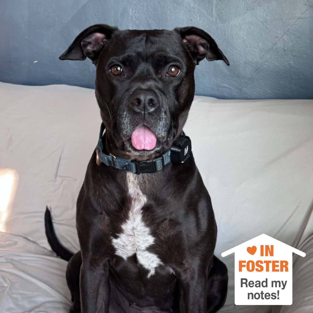 Hello my name is Smiles