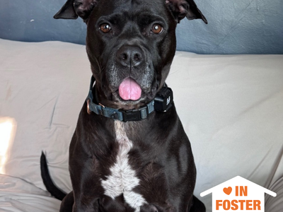 Hello my name is Smiles