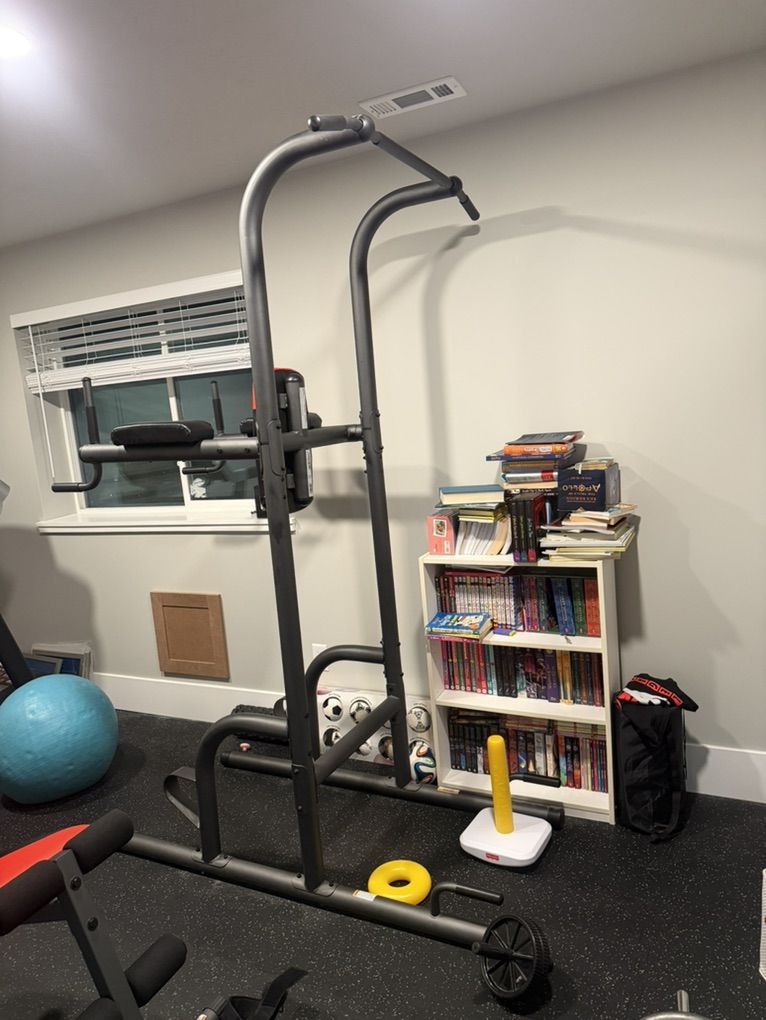 Weider Power Tower