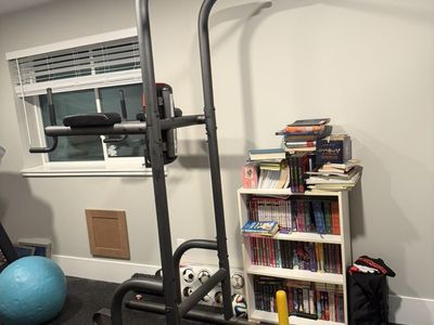 Weider Power Tower