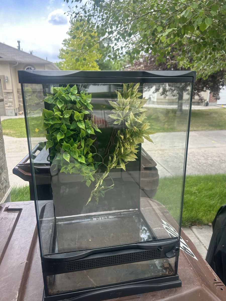 Zoomed tank