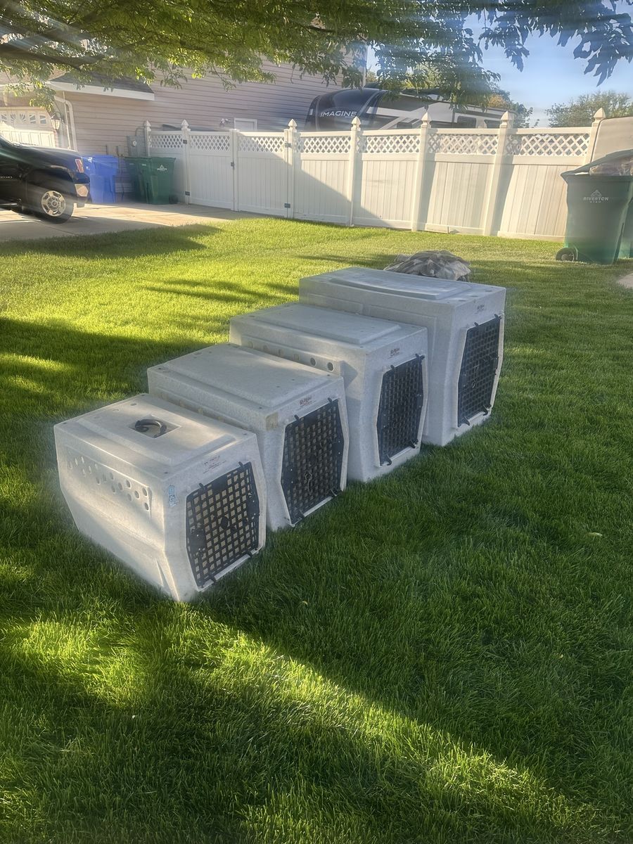 Ruffland kennels, all the sizes