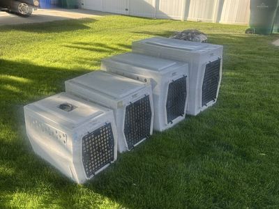Ruffland kennels, all the sizes
