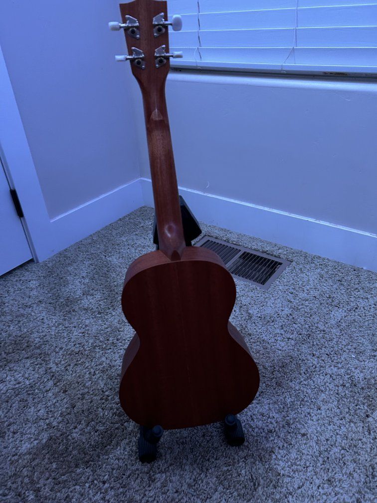 Main image 6
