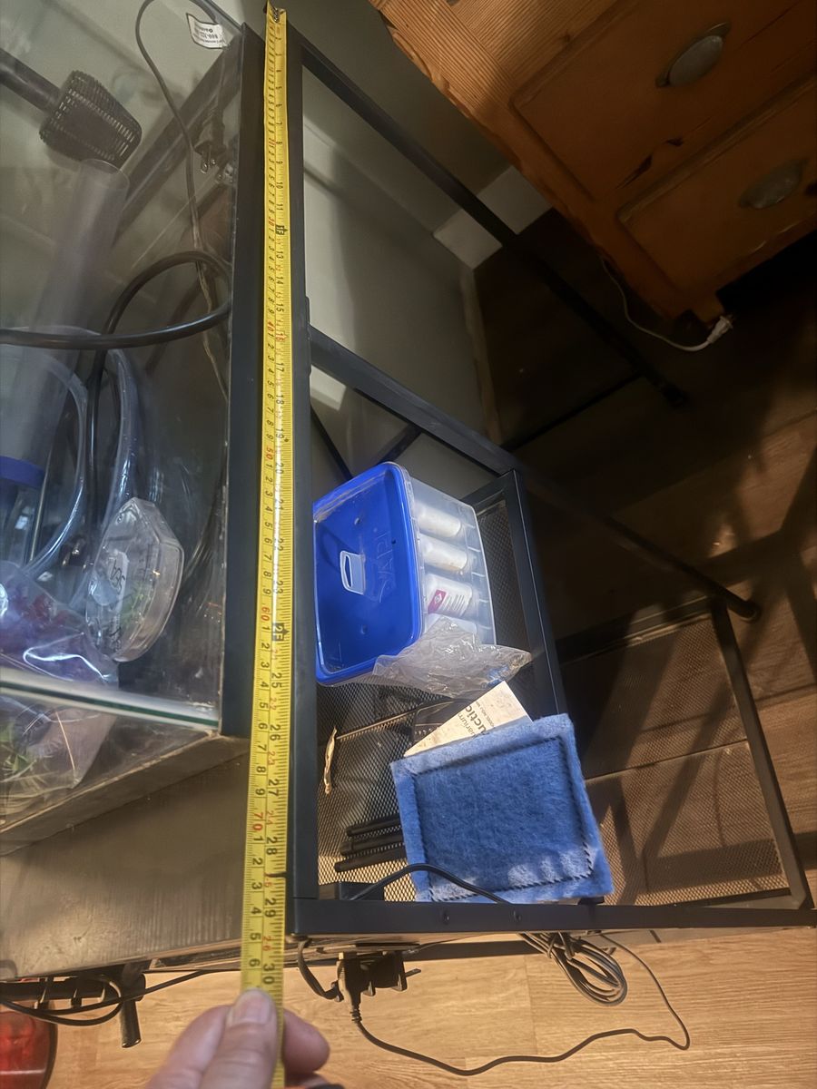 Main image 5