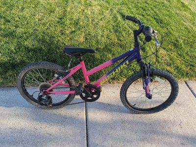 20 in Bike