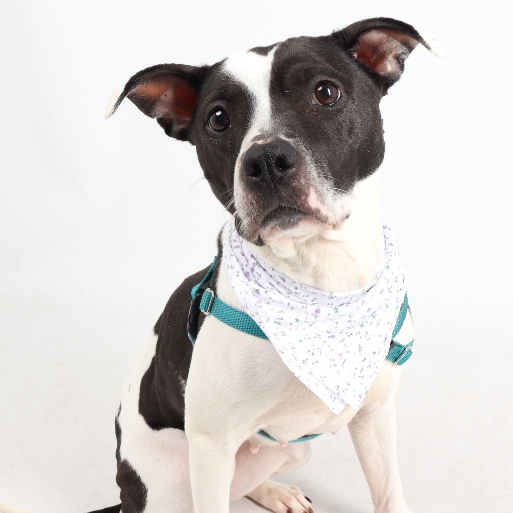 Hello my name is Lulu