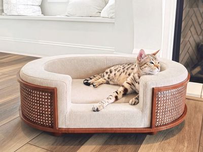 Gracie Rattan Upholstered Pet Bed 2061430 #107210