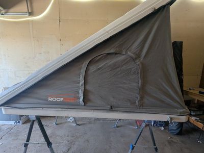 roofnest sparrow eye