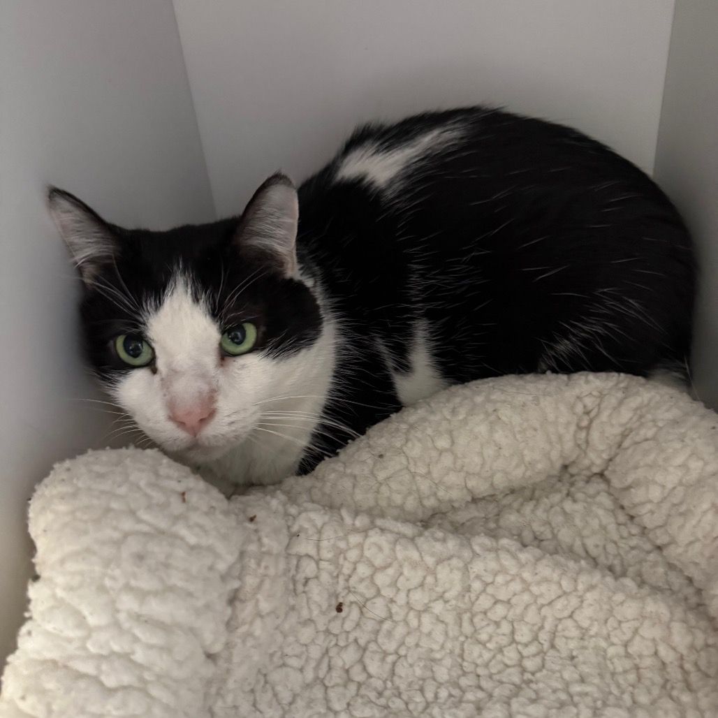 Hello my name is Buckee