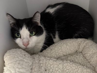 Hello my name is Buckee