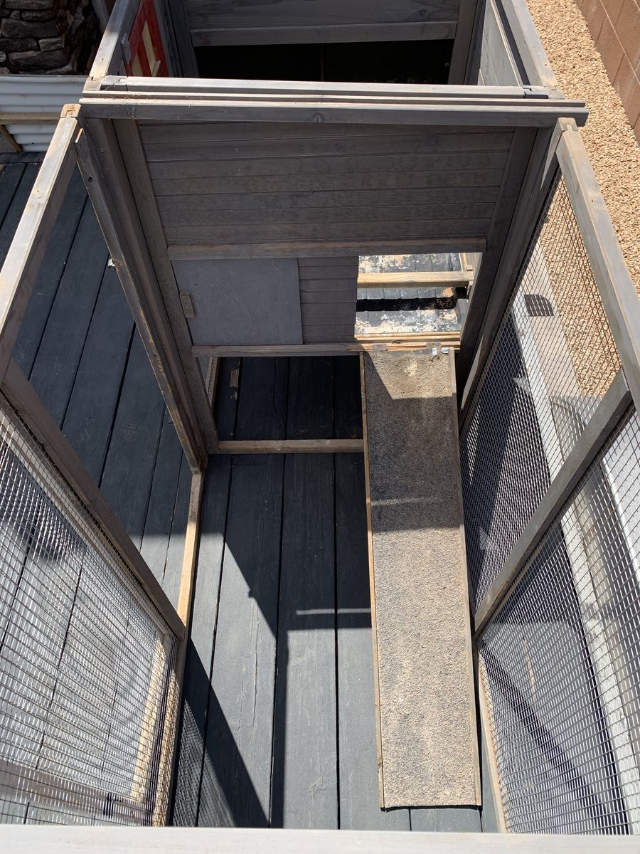 Main image 7