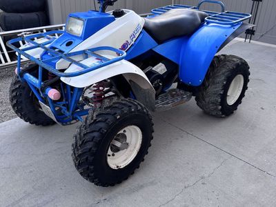 1988 Polaris Trail Boss 250 – Runs Great – Clean Title