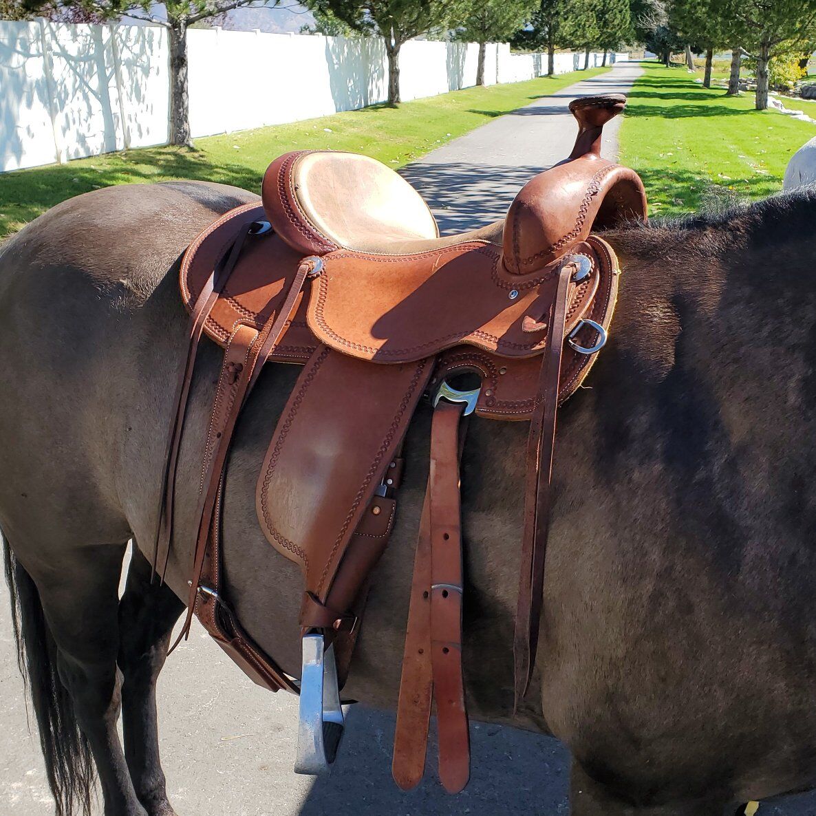 16" Wide Cashel All Around Trail Saddle