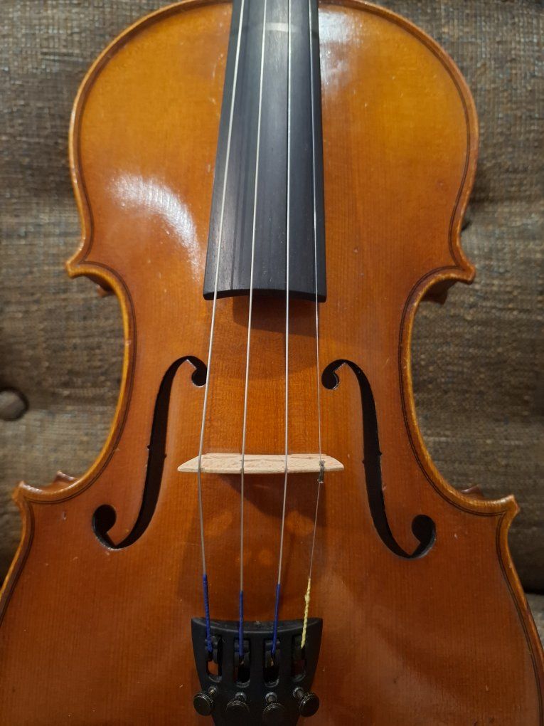 Main image 6