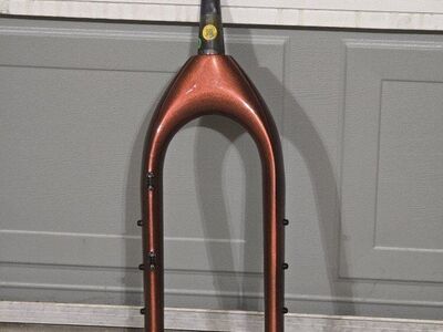 Fat Bike Carbon Fork