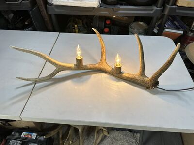Mantle/Table Elk Light