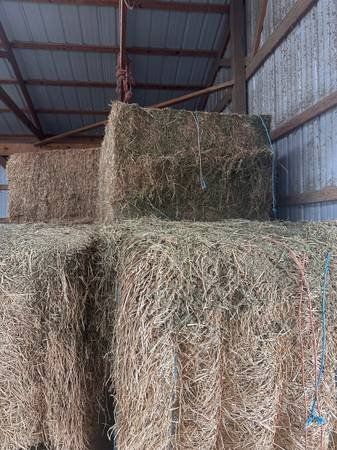 Premium Alfalfa Hay Bales