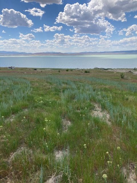 Spanish Fork 6.5 Acre Buildable Farm/Ranch Property Overlooking Utah Lake