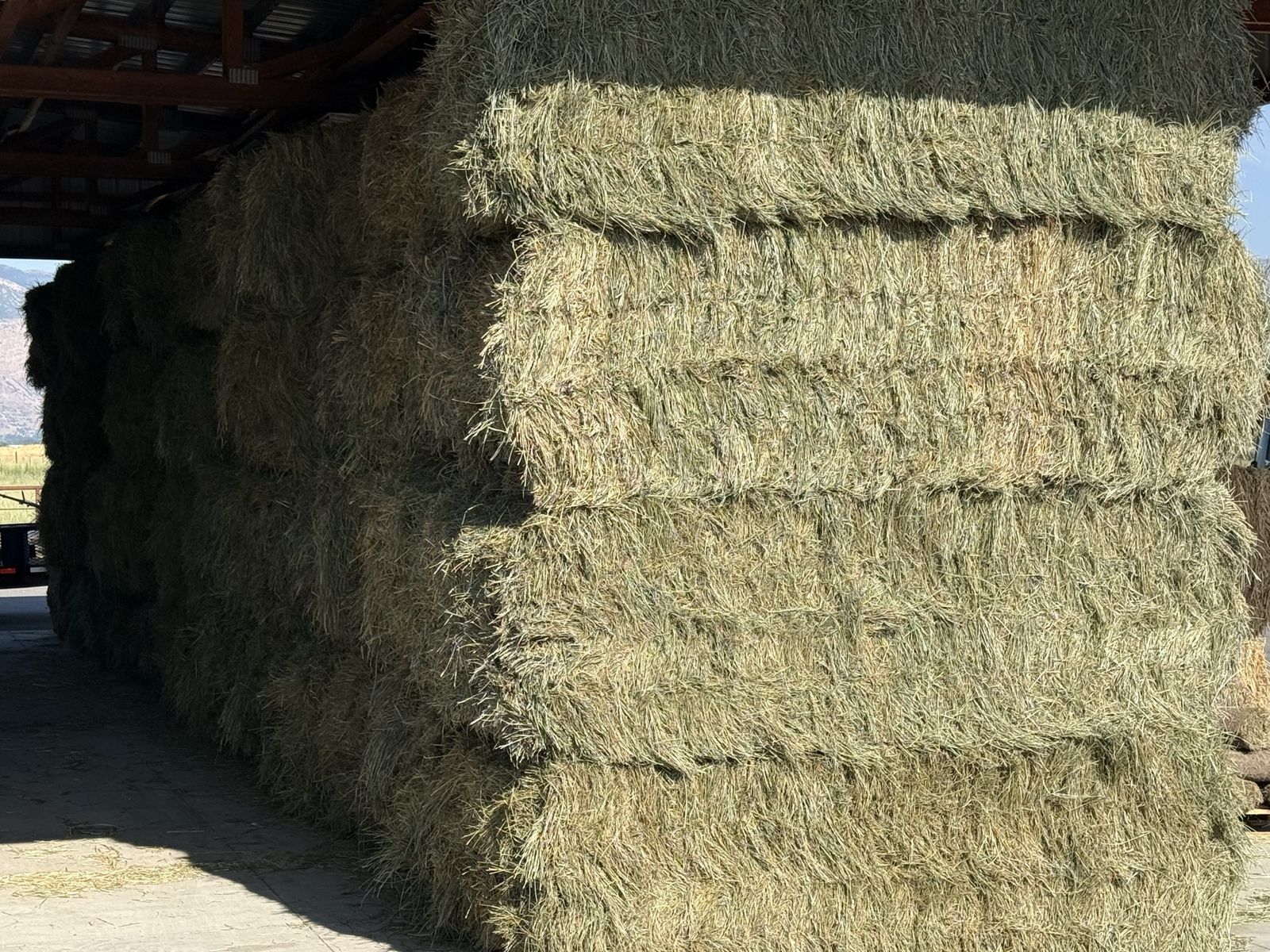 3’x4’x8’ Premium Grass Hay