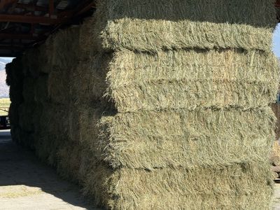 3’x4’x8’ Premium Grass Hay