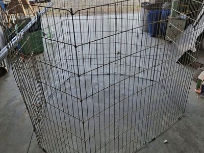 dog kennel cage run