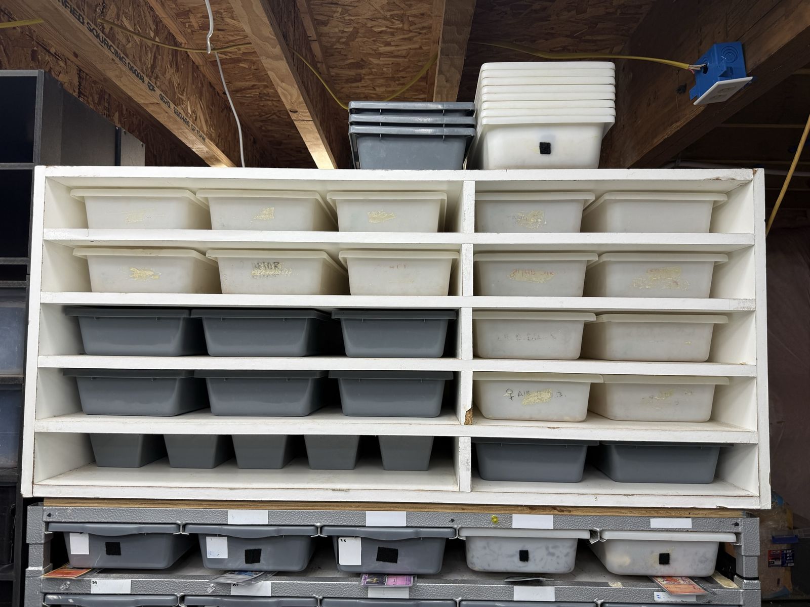 Reptile Rack fb 5, 8 and or 10s