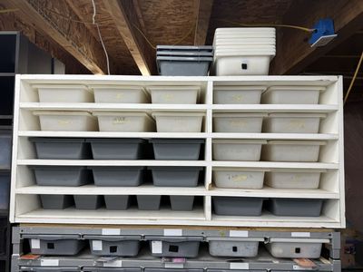 Reptile Rack fb 5, 8 and or 10s