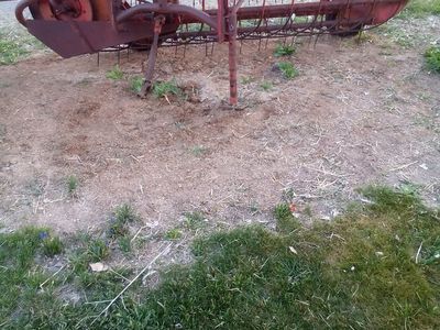 Massey Ferguson hay rake