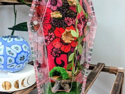 Jumping spider enclosure, spider terrarium, jumping spider home, no spider