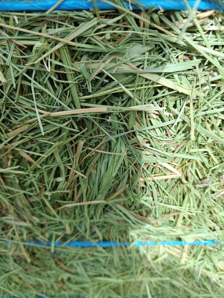 3x3 grass hay.