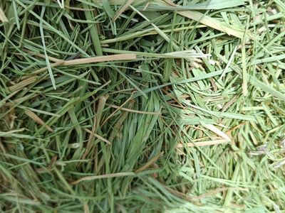 3x3 grass hay.