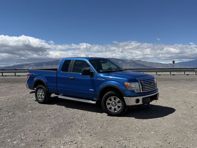 2011 FORD F150 XLT
