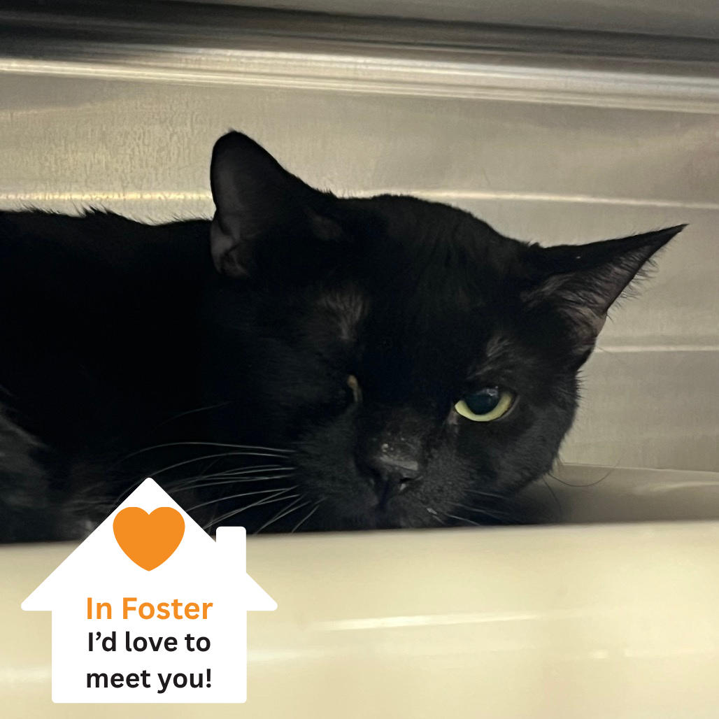 Hello my name is Tourmaline