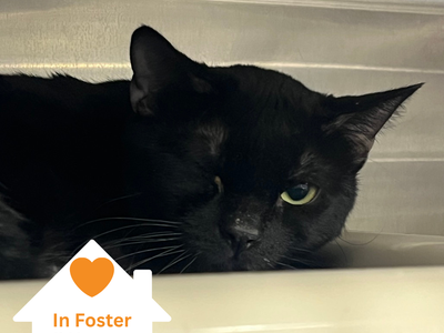 Hello my name is Tourmaline