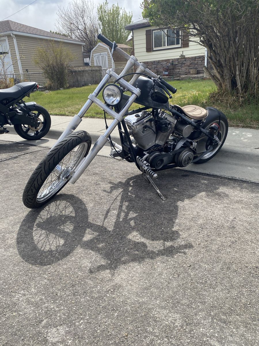 2000 Custom Ultra Ground Pounder Bobber